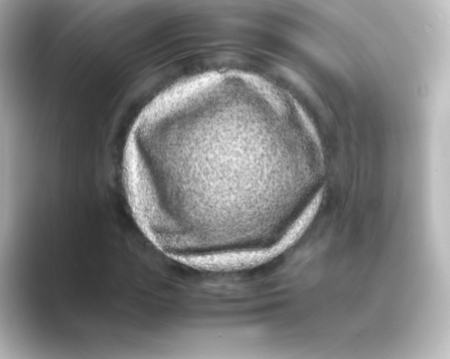 X0000088700823200706211943