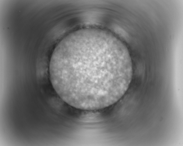 X0000088700824200706211943