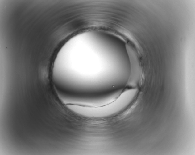 X0000088700826200706211943