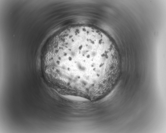 X0000088700827200706211943