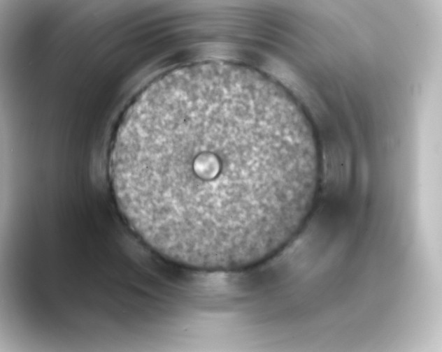 X0000088700828200706211943