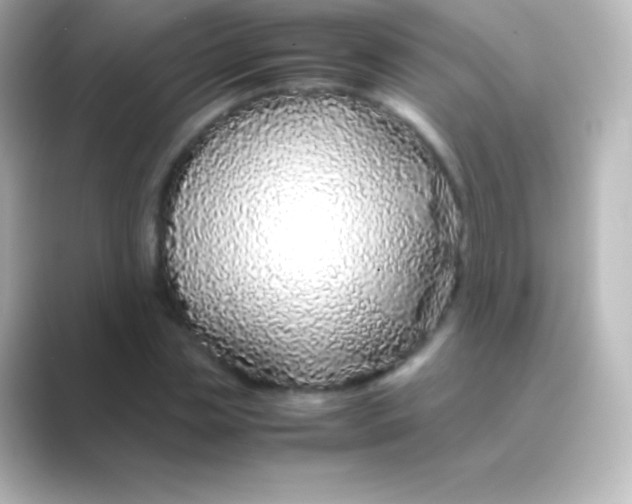 X0000088700829200706211943