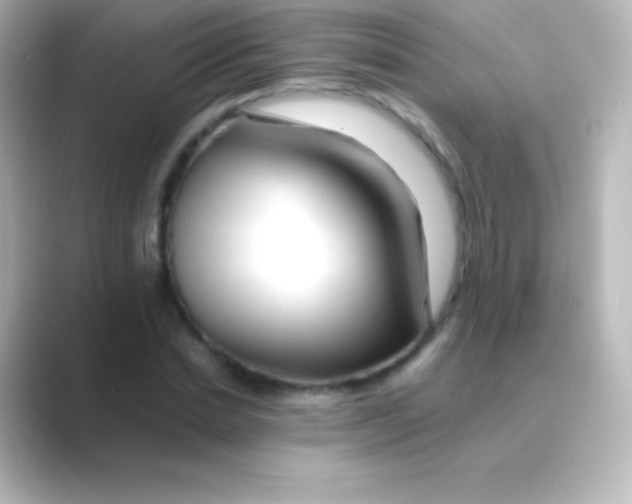 X0000088700830200706211943