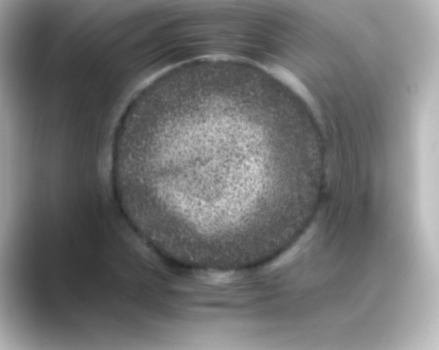 X0000088700831200706211943