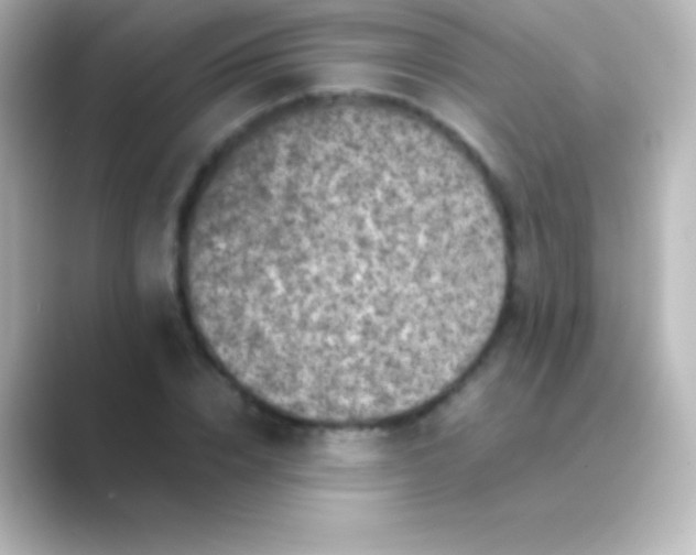 X0000088700832200706211943