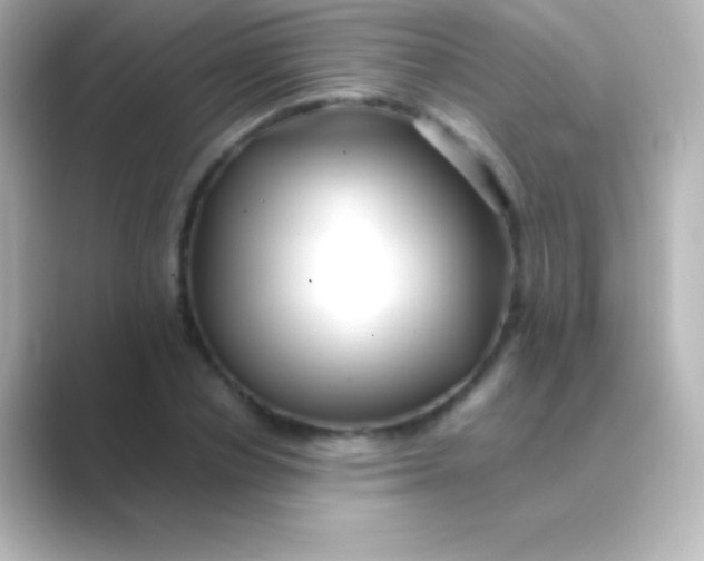 X0000088700834200706211943