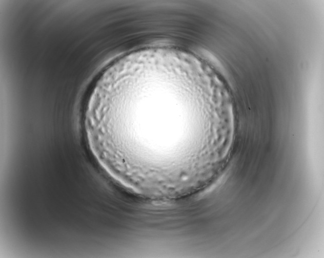 X0000088700835200706211943