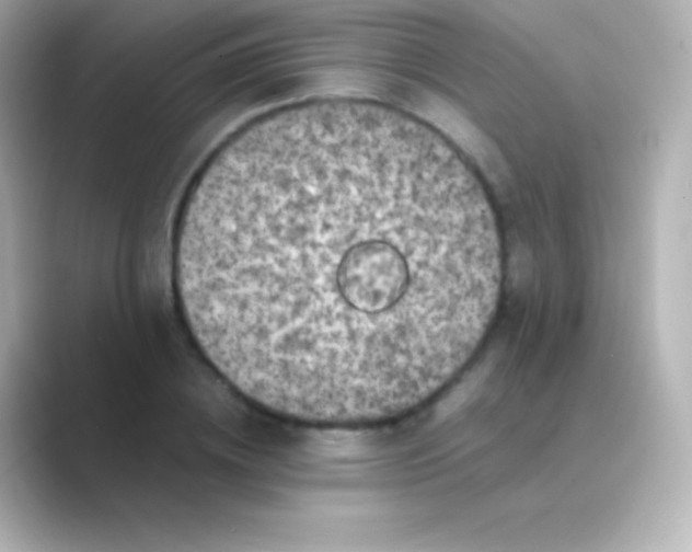 X0000088700836200706211943