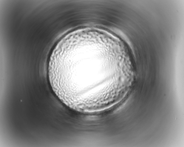 X0000088700839200706211943