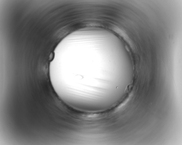 X0000088700841200706211943