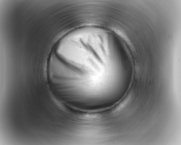 X0000088700842200706211943