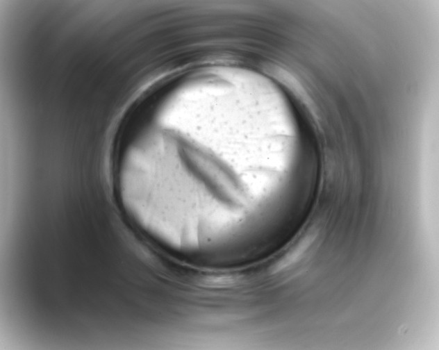 X0000088700843200706211943