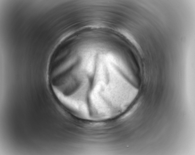 X0000088700845200706211943