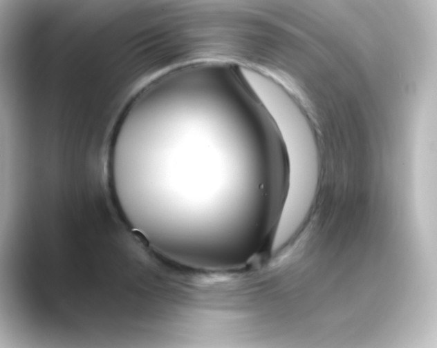 X0000088700846200706211943