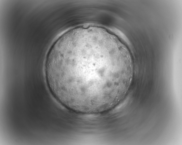X0000088700847200706211943