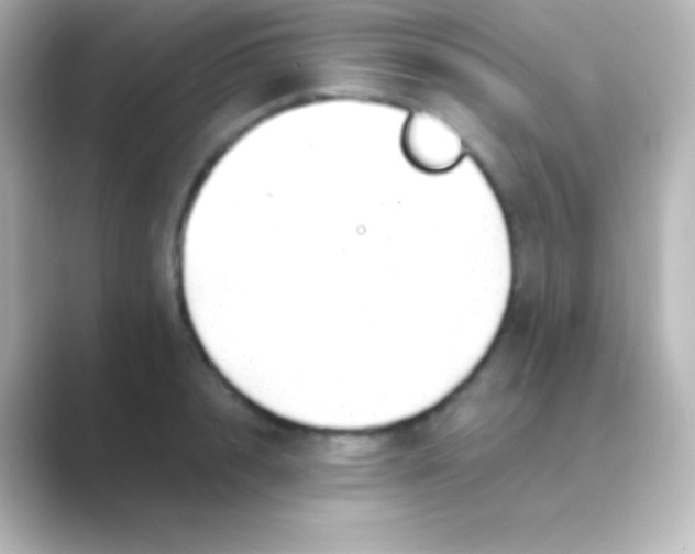X0000088700848200706211943