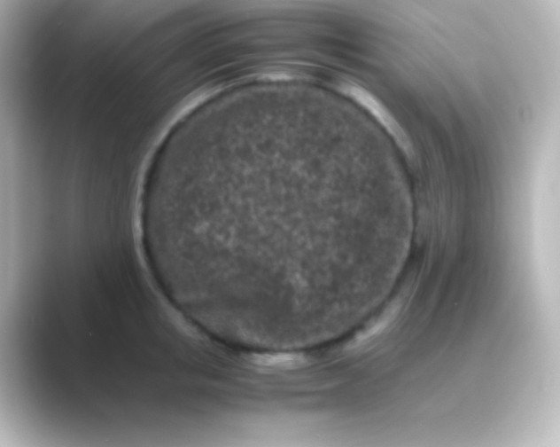 X0000088700853200706211943