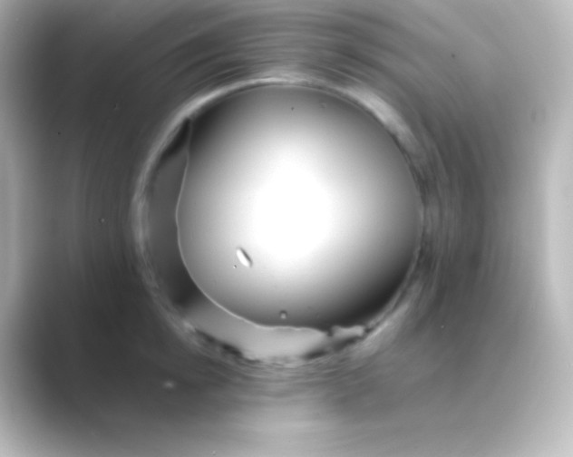 X0000088700854200706211943
