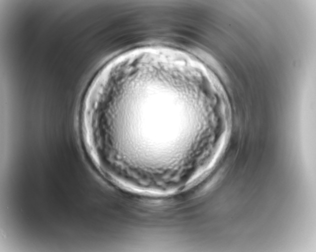X0000088700855200706211943