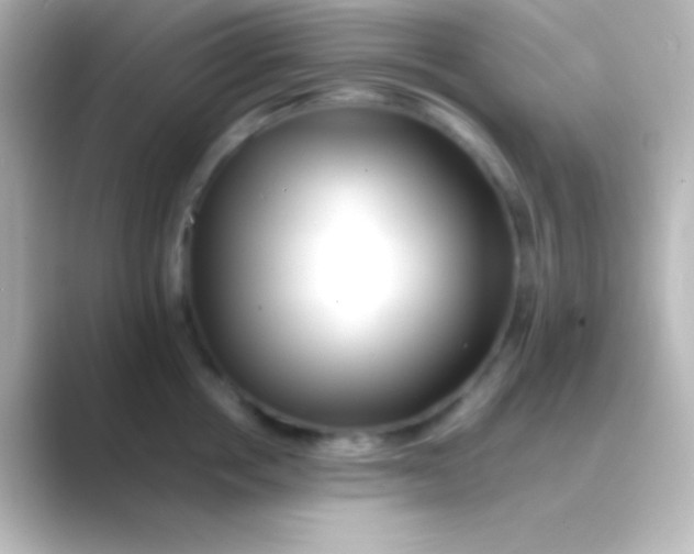 X0000088700858200706211943