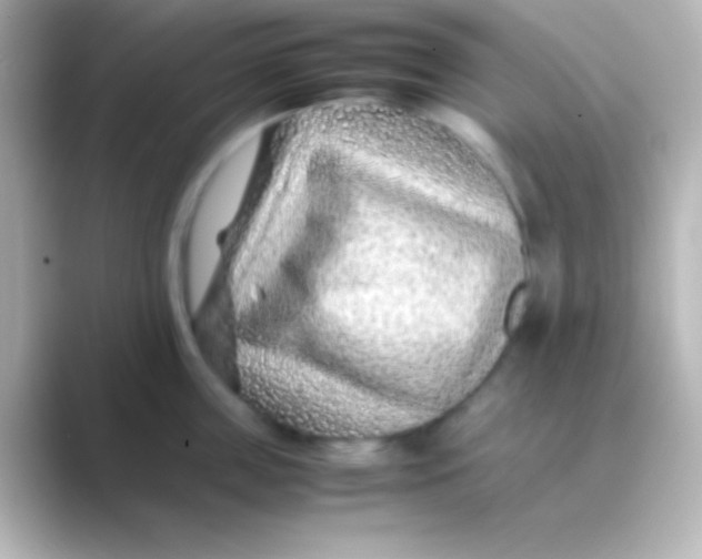 X0000088700859200706211943
