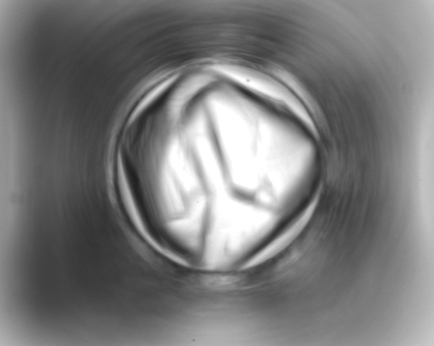 X0000088700861200706211943