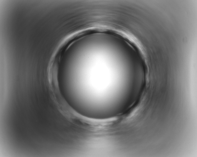 X0000088700862200706211943