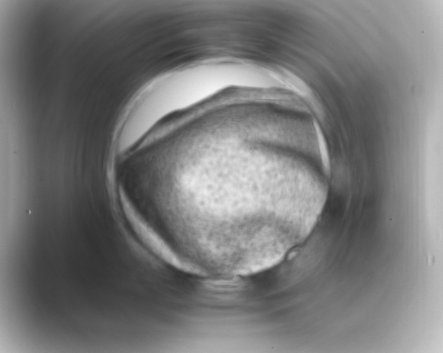 X0000088700863200706211943