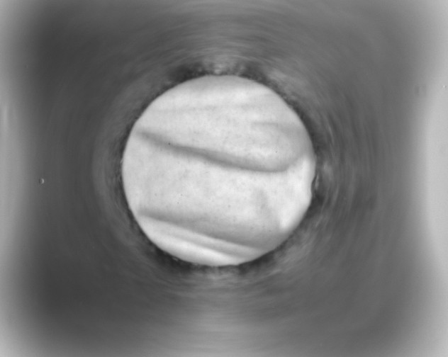 X0000088700865200706211943