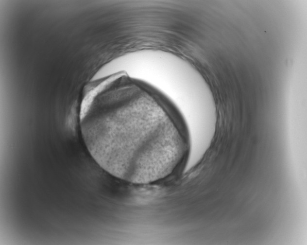 X0000088700868200706211943