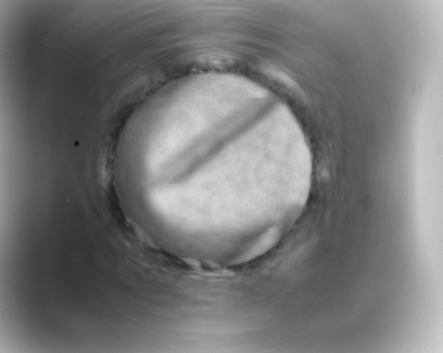 X0000088700869200706211943