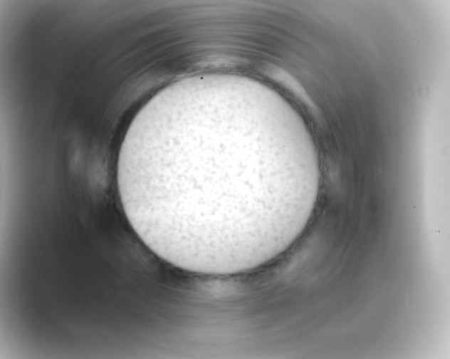 X0000088700874200706211943