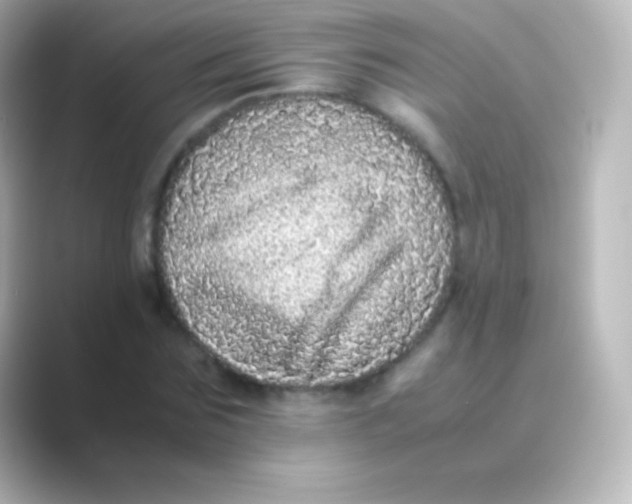 X0000088700875200706211943