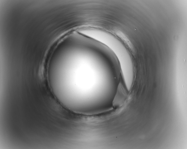 X0000088700876200706211943