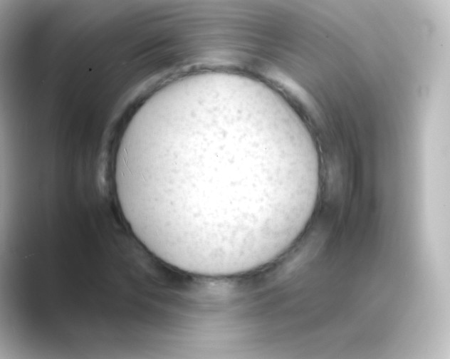X0000088700878200706211943