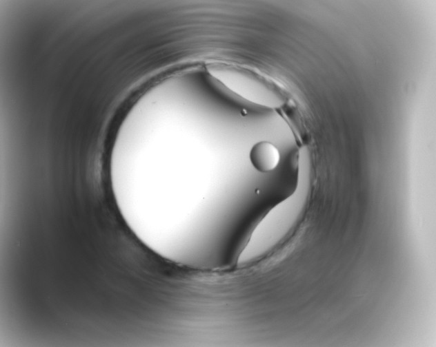 X0000088700880200706211943