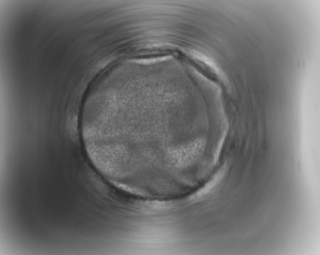 X0000088700881200706211943