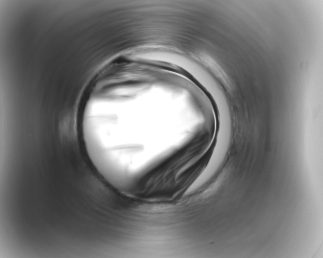 X0000088700884200706211942
