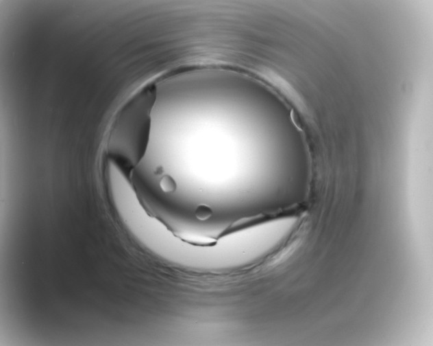 X0000088700885200706211942