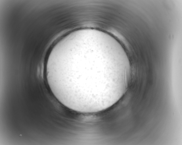 X0000088700886200706211942