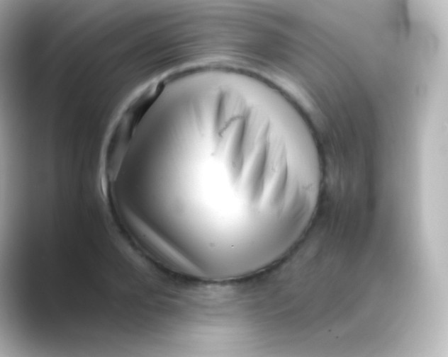 X0000088700888200706211942
