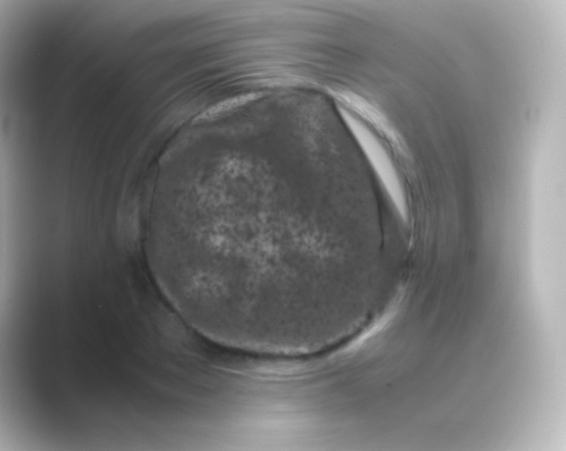 X0000088700889200706211942