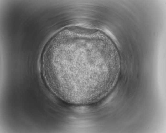 X0000088700891200706211942