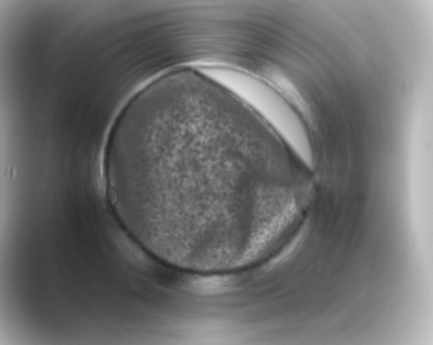 X0000088700892200706211942
