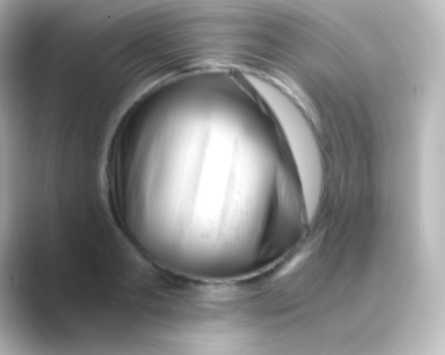 X0000088700893200706211942
