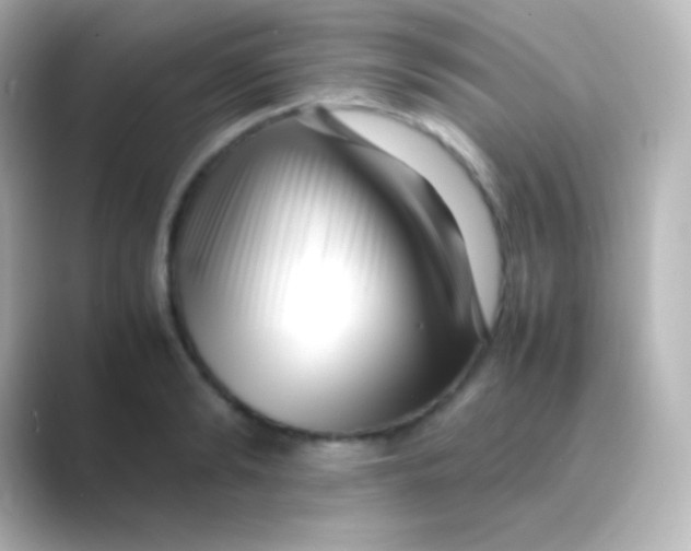 X0000088700894200706211942
