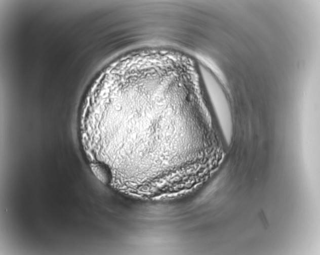 X0000088700895200706211942