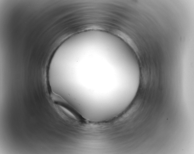 X0000088700898200706211942