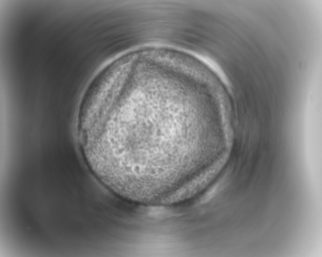 X0000088700903200706211942