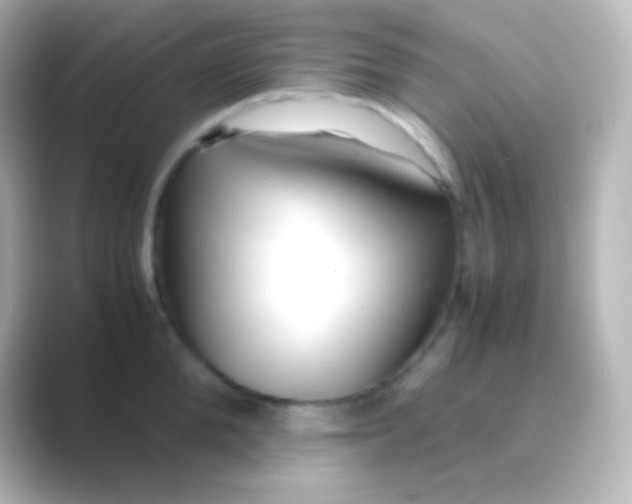 X0000088700904200706211942
